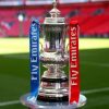 Cup FA là gì - Lịch sử hình thành và phát triển giải FA Cup